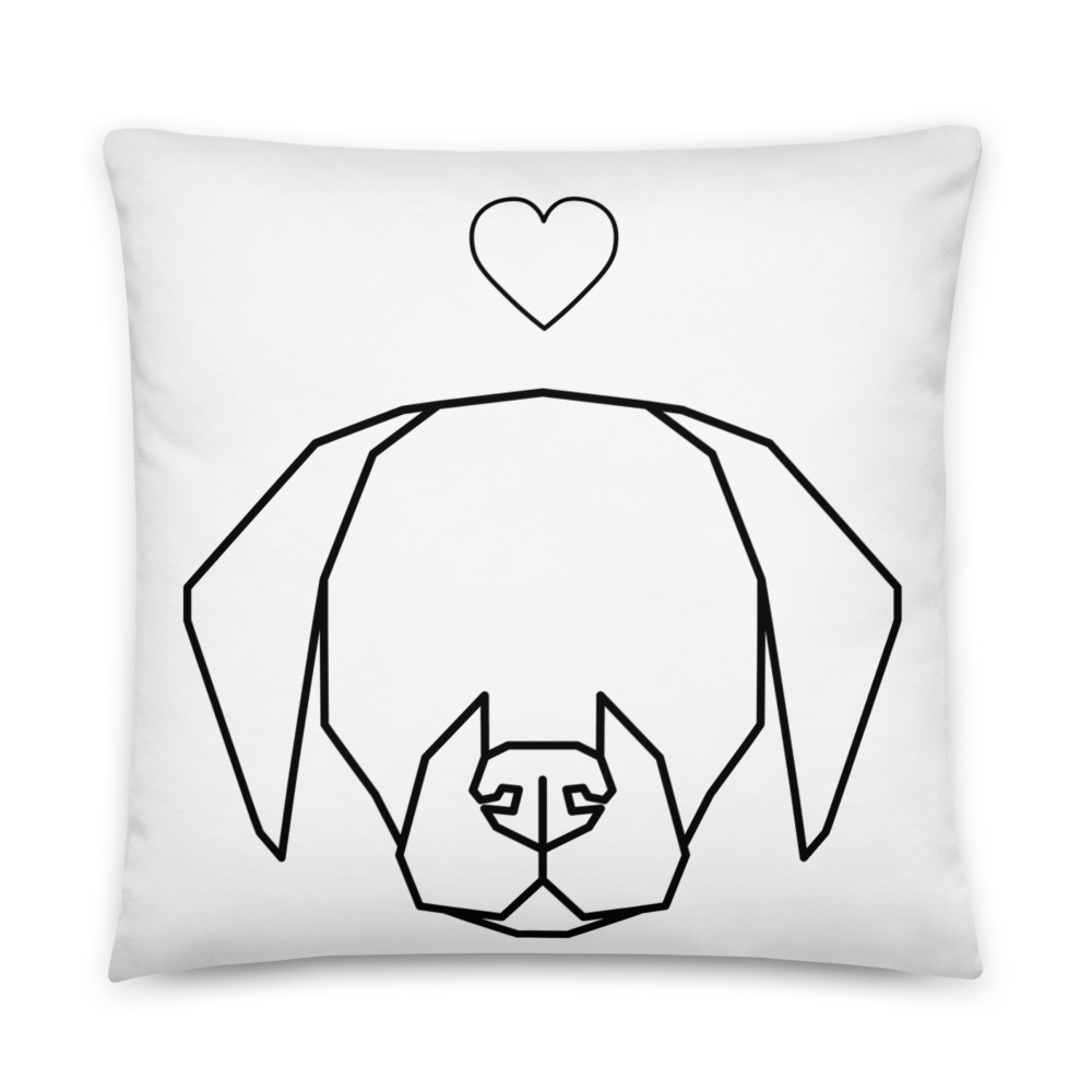 all-over-print-basic-pillow-22x22-5fdc9dcc6cacc.jpg