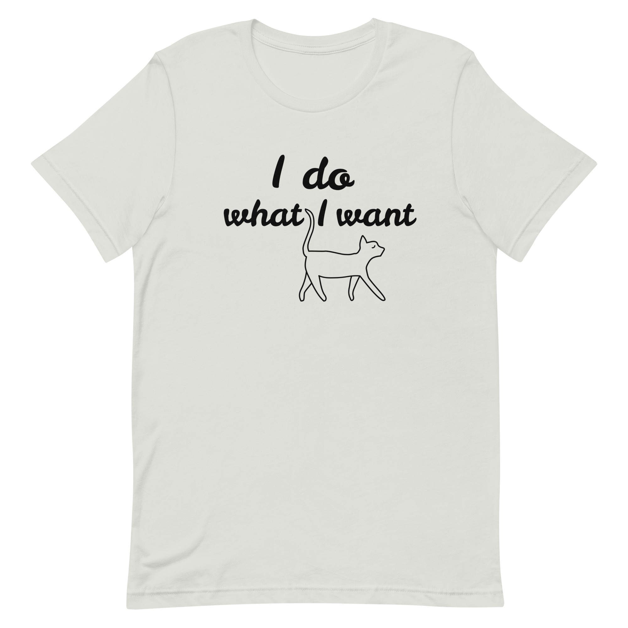 unisex-staple-t-shirt-silver-front-6634de398af2a.jpg