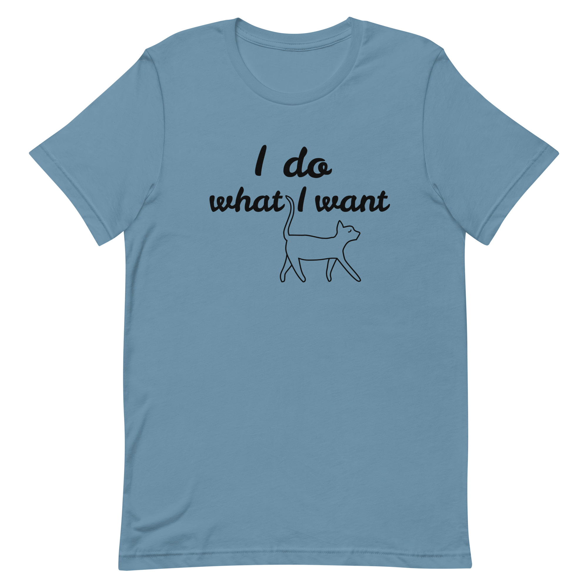 unisex-staple-t-shirt-steel-blue-front-6634de3981b9d.jpg